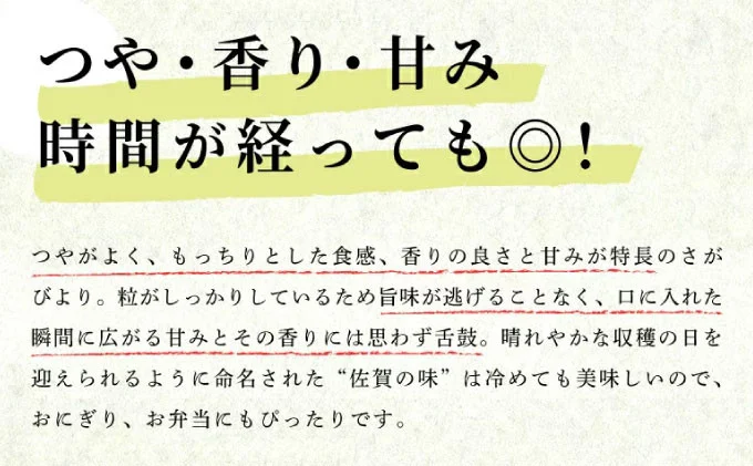 《先行予約》《2025年12月以降順次発送》 令和7年産 さがびより（精米）5kg  [B-1122-AS-(12)]