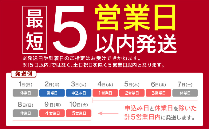 《5営業日以内出荷》 令和6年産 さがびより（精米）5kg 【B-1127-AS】