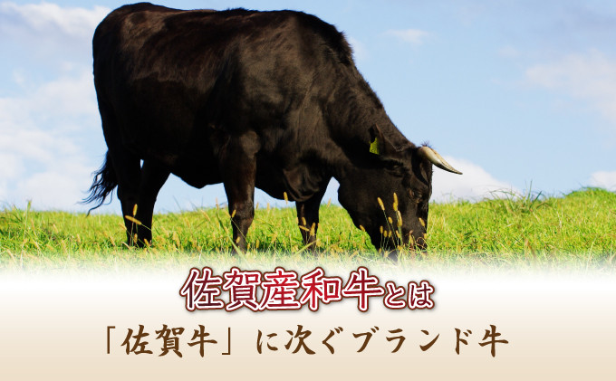 【佐賀産和牛】ハンバーグ 120g×5個 B-976