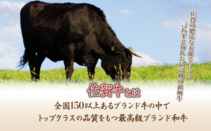 120g×5個【佐賀牛】ハンバーグ C-553