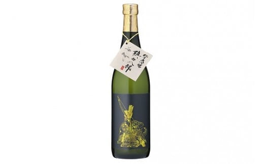 【令和6年新酒】純米大吟醸 鎮西八郎 720ml×2本 C-524