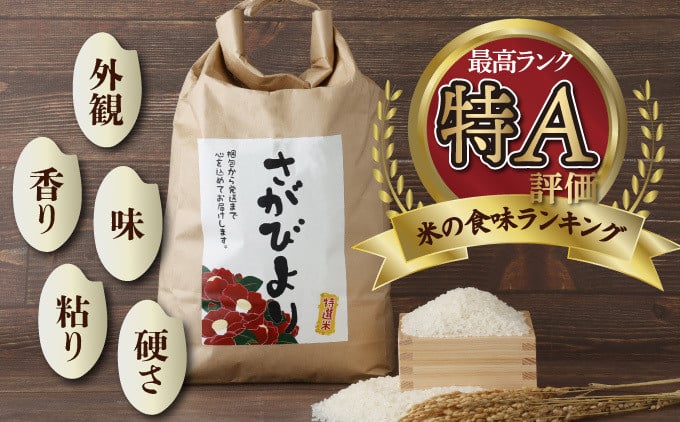 年内発送 12/25まで 特選米100%!令和7年産さがびより(精白米) 5kg 【B-1184-V】