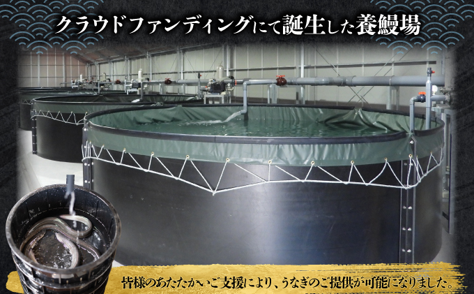 上峰町産うなぎ200g×2尾 D-632-PE