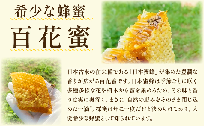 日本蜜蜂の純粋はちみつ 日本蜜蜂の純粋はちみつ 500g×1 蜜蝋100g付 D-666-HB