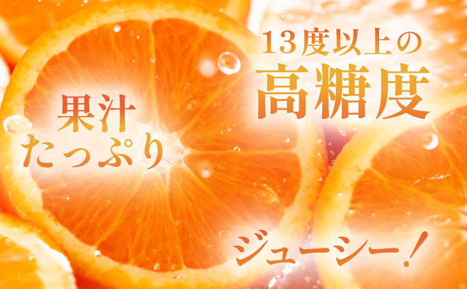 デコポン 約5kg D-669-RN