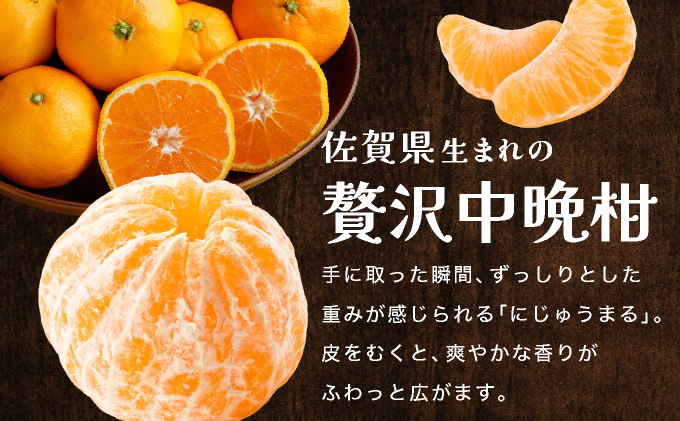 にじゅうまる 約5kg バラ入りお徳用 E-294-RN