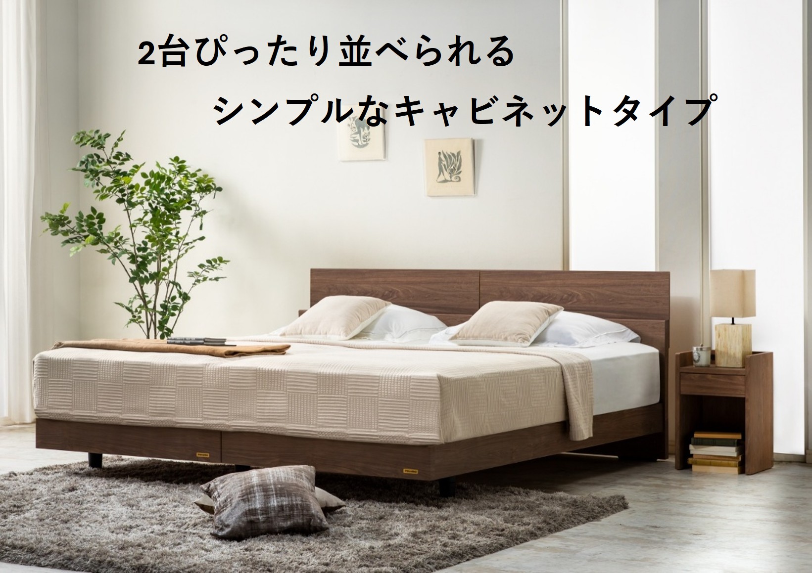 フランスベッド エルダ02C 脚付きタイプ セミダブル  マットレス付き J-395