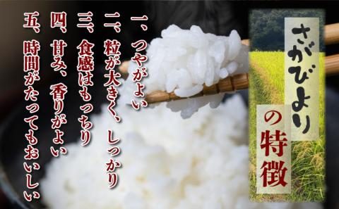 特選米100%!令和7年産さがびより(精白米) 10kg 【D-686-V】