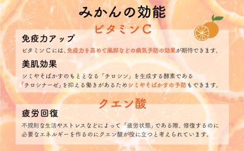 【最短14営業日以内出荷】みかんのきもち 280ml×24本 2箱セット(48本) C-433