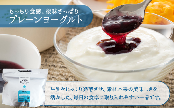 大富牧場の無添加ヨーグルト 食べ比べセット プレーン600g / グリーク400g