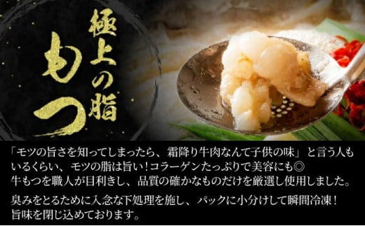 【2026年1月配送】2～3人前 国産牛モツ入り 絶品塩もつ鍋（300g）【A-62-PE(1)】