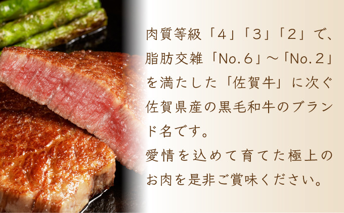 【佐賀産和牛】ハンバーグ 120g×5個 B-976