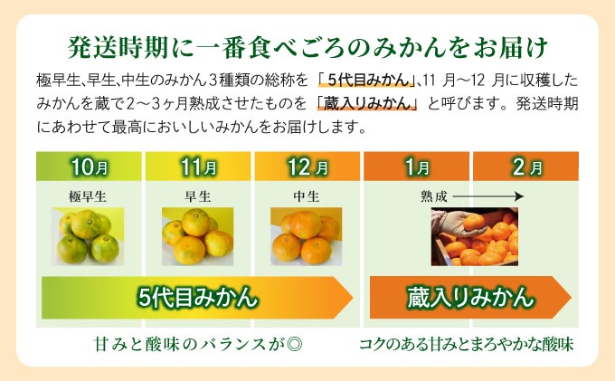 【期間限定】さがみかん （5代目みかん9.5kg）【温州みかん 甘い 濃厚 ジューシー コク 完熟 熟成みかん 蔵出し 蔵入り 柑橘 密柑 ギフト 果物 フルーツ 佐賀県産 佐賀県 大和 太良 石橋果樹園 人気】【C-649-IK】