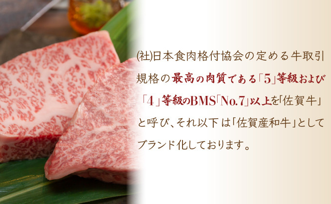 【佐賀産和牛】ハンバーグ 120g×10個