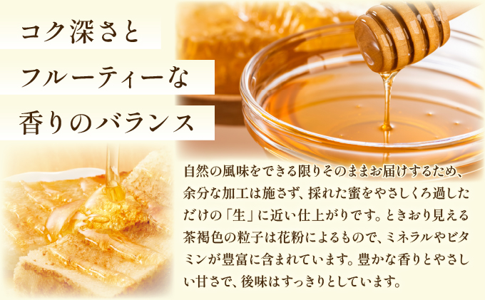 日本蜜蜂の純粋はちみつ 日本蜜蜂の純粋はちみつ 300g×2 D-665-HB