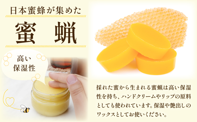 日本蜜蜂の純粋はちみつ 日本蜜蜂の純粋はちみつ 500g×1 蜜蝋100g付 D-666-HB