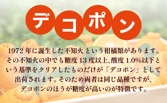 デコポン 約5kg D-669-RN
