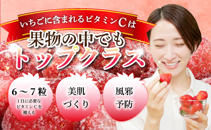 ◆赤い宝石◆いちごさん 冷凍いちご 3kg（500g×6袋）E-292-RN