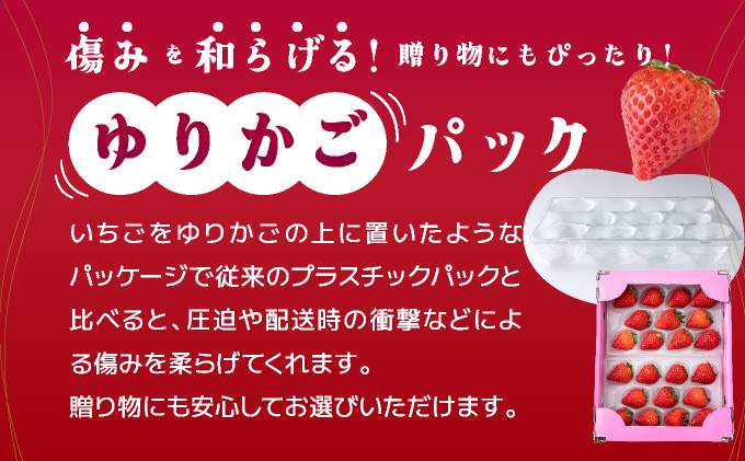【先行予約】数量限定！あまい果汁溢れる！最高級品質”さがほのか” 4回定期便 （1回 235g×4p 約1kg）