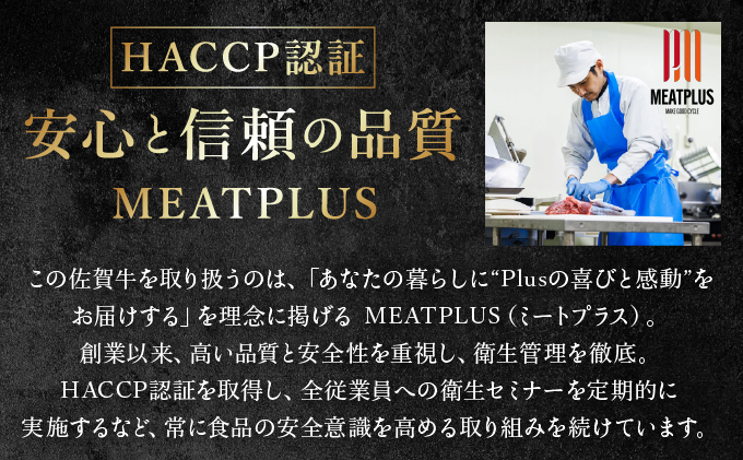 艶さし！【A4~A5】佐賀牛切り落とし 5kg (500g×10P)