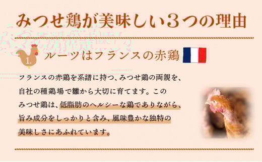  【定期便 年6回】みつせ鶏 バラエティ定期便