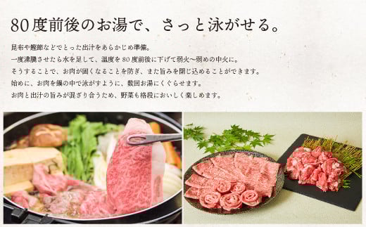 《脂身少なめ》「佐賀牛」ももスライス 500g【チルド配送】C-668-H(0)