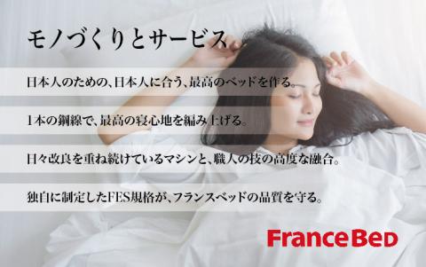 フランスベッド PR70-06C（脚付タイプ）シングル【ベッドフレームのみ】