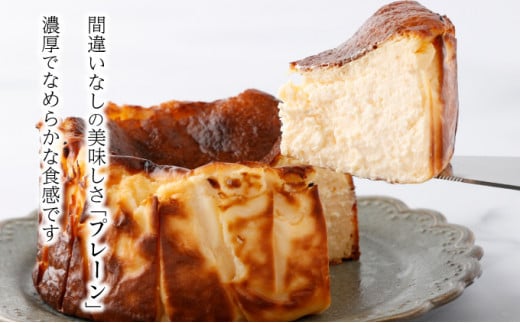 濃厚バスクチーズケーキ パンプキン A-74