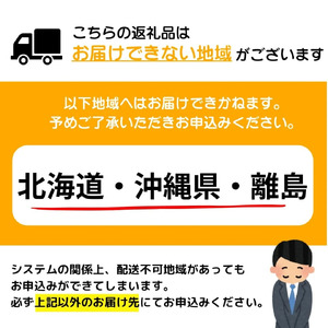 【2026年3月配送】5～6人前 国産牛モツ入り 絶品塩もつ鍋（600g）【B-1003-PE(3)】