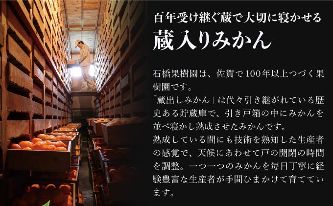 【期間限定】さがみかん （蔵入りみかん4.5kg）【温州みかん 甘い 濃厚 ジューシー コク 完熟 熟成みかん 蔵出し 蔵入り 柑橘 密柑 ギフト 果物 フルーツ 佐賀県産 佐賀県 大和 太良 石橋果樹園 人気】【B-1121-IK】