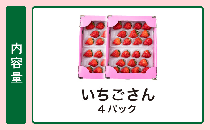 《先行予約・数量限定》佐賀県人気NO1「いちごさん」約1kg（235g×4p）B-1091-KN