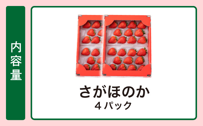 《先行予約・数量限定》あまい果汁溢れる最高級品質「さがほのか」約1kg（235g×4p）B-1092-KN