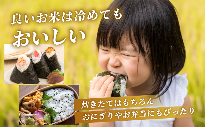 《5営業日以内出荷》 令和6年産 さがびより（精米）5kg 【B-1127-AS】