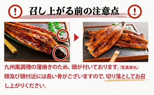 《順次発送》『国産』うなぎ蒲焼 3尾 計480g [B-1125-PE]