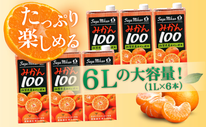 みかん100 1L×6本 B-1136-RN