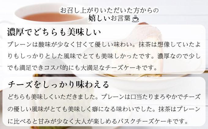 濃厚バスクチーズケーキ プレーン×2 [C-694-SP_001]