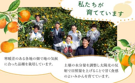 【期間限定】さがみかん （5代目みかん9.5kg）【温州みかん 甘い 濃厚 ジューシー コク 完熟 熟成みかん 蔵出し 蔵入り 柑橘 密柑 ギフト 果物 フルーツ 佐賀県産 佐賀県 大和 太良 石橋果樹園 人気】【C-649-IK】