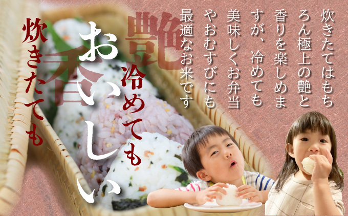 特選米100%!令和7年産さがびより(精白米) 10kg 【D-686-V】