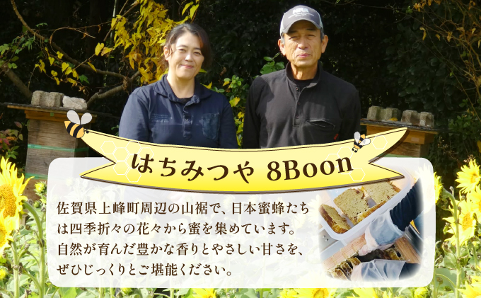 日本蜜蜂の純粋はちみつ 日本蜜蜂の純粋はちみつ 500g×1 蜜蝋100g付 D-666-HB