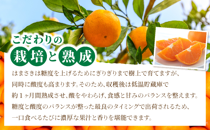 はまさき 約2.5kg 化粧箱入り