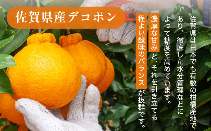 デコポン 約5kg D-669-RN