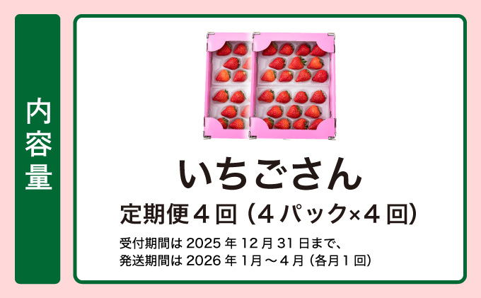 【先行予約】数量限定！佐賀県人気No.1苺”いちごさん” 4回定期便 （1回 235g×4p 約1kg）