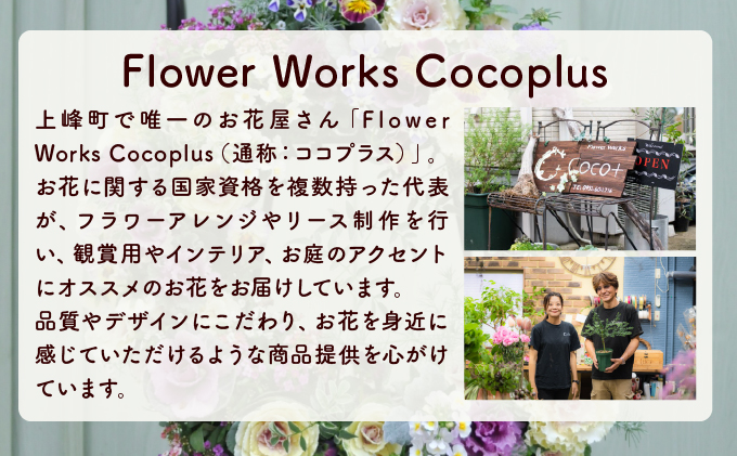 【定期便5回】季節のお花が楽しめる☆お花屋さんの定期便 5回 ブリコラージュフラワー 寄せ植え 15~20株