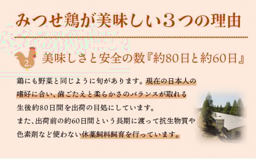  【定期便 年6回】みつせ鶏 バラエティ定期便