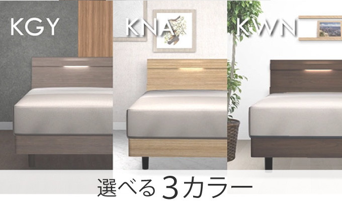 フランスベッド ファディア FAD-C1 LG（脚付タイプ） 【 フレームのみ 】 S シングル Q-389