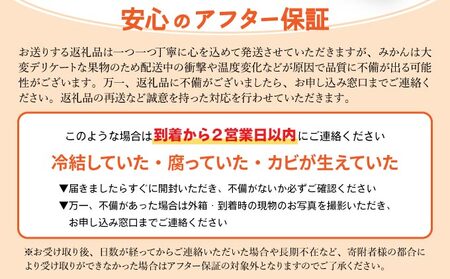 【期間限定】さがみかん （5代目みかん4.5kg）【温州みかん 甘い 濃厚 ジューシー コク 完熟 熟成みかん 蔵出し 蔵入り 柑橘 密柑 ギフト 果物 フルーツ 佐賀県産 佐賀県 大和 太良 石橋果樹園 人気】【B-1120-IK】