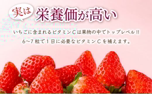 佐賀県産いちご「いちごさん」240g×4P 計960g! 【B-1183-AS】