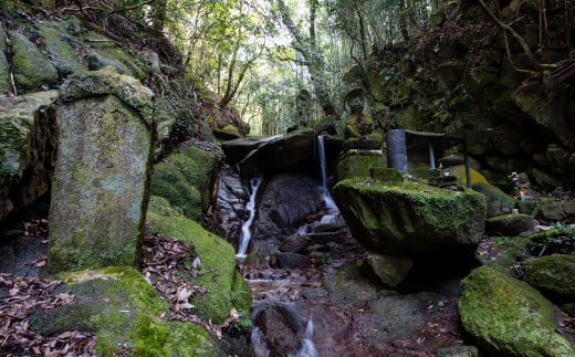 【令和6年新酒】純米大吟醸 鎮西八郎 720ml×2本 C-524