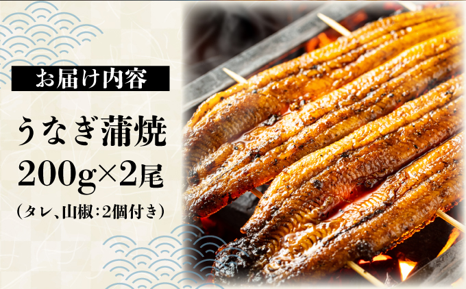 上峰町産うなぎ200g×2尾 D-632-PE