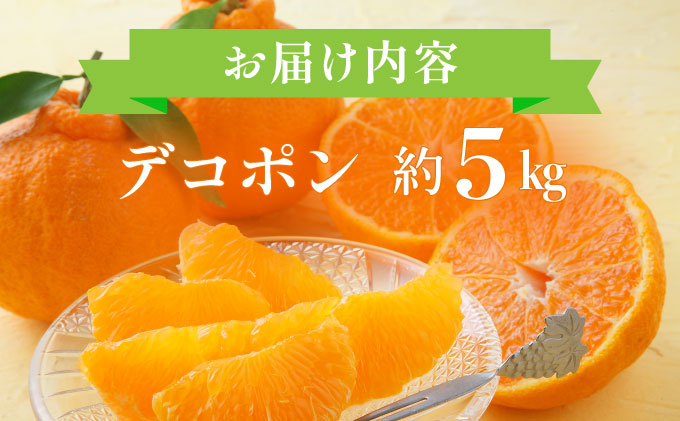 デコポン 約5kg D-669-RN